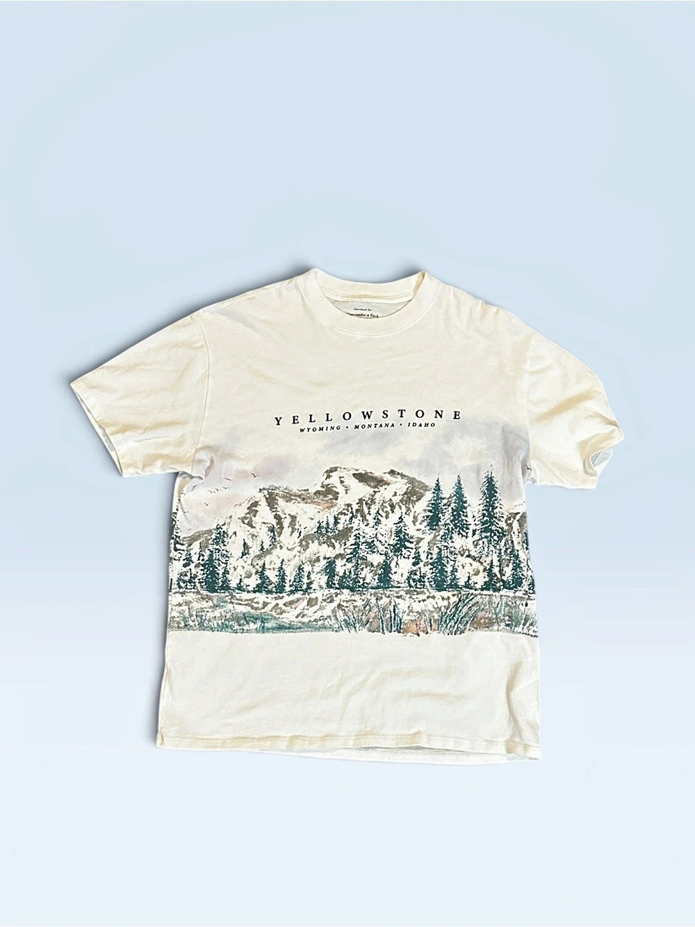 Abercrombie & Fitch Yellowstone Graphic Oversized Tee Cream & Green XS